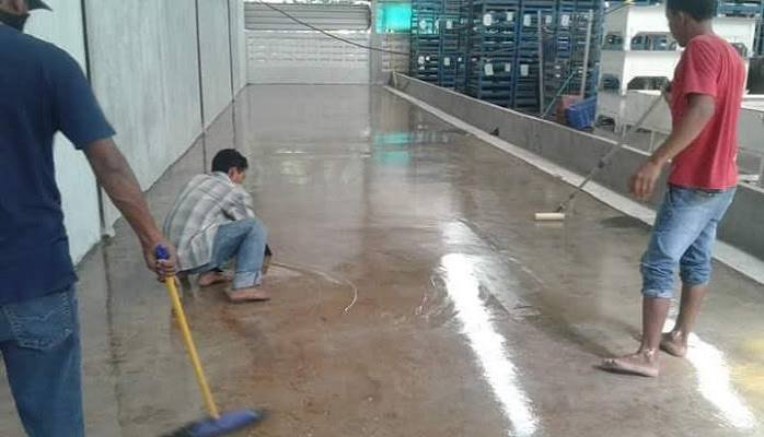 Jasa Epoxy Lantai Peternakan dan Kandang Ayam Modern